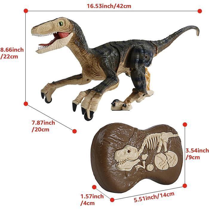 Rechargeable Remote Control Dinosaur Toy for and Children, 5 Channels 2.4G for Boy Girls, Electronic RC Walking Velociraptor