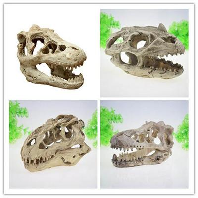 Krabice pro plazy s lebkou dinosaura: Kreativní pryskyřičná dekorační ozdoba pro obývací pokoj nebo bar