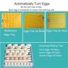 72/96/112/120 Eggs Adjustable Auto Turning Incubation Electronic Digital Incubator Hatcher Chicken Duck or Goose Dual Power 220V