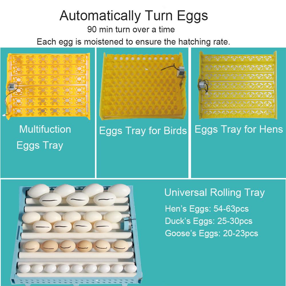 72/96/112/120 Eggs Adjustable Auto Turning Incubation Electronic Digital Incubator Hatcher Chicken Duck or Goose Dual Power 220V