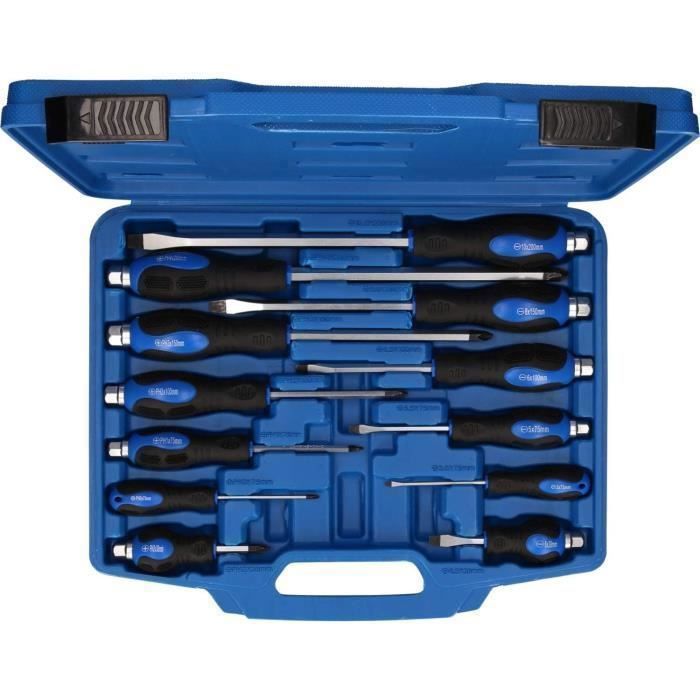 Coffret de tournevis BRILLIANT TOOLS avec embouts à frapper - 12pcs - BT034012