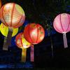Luminous Chinese Mid Autumn Lantern Traditional Round Paper Lantern  New Year