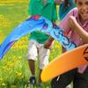 Soft Foam Boomerang Toy