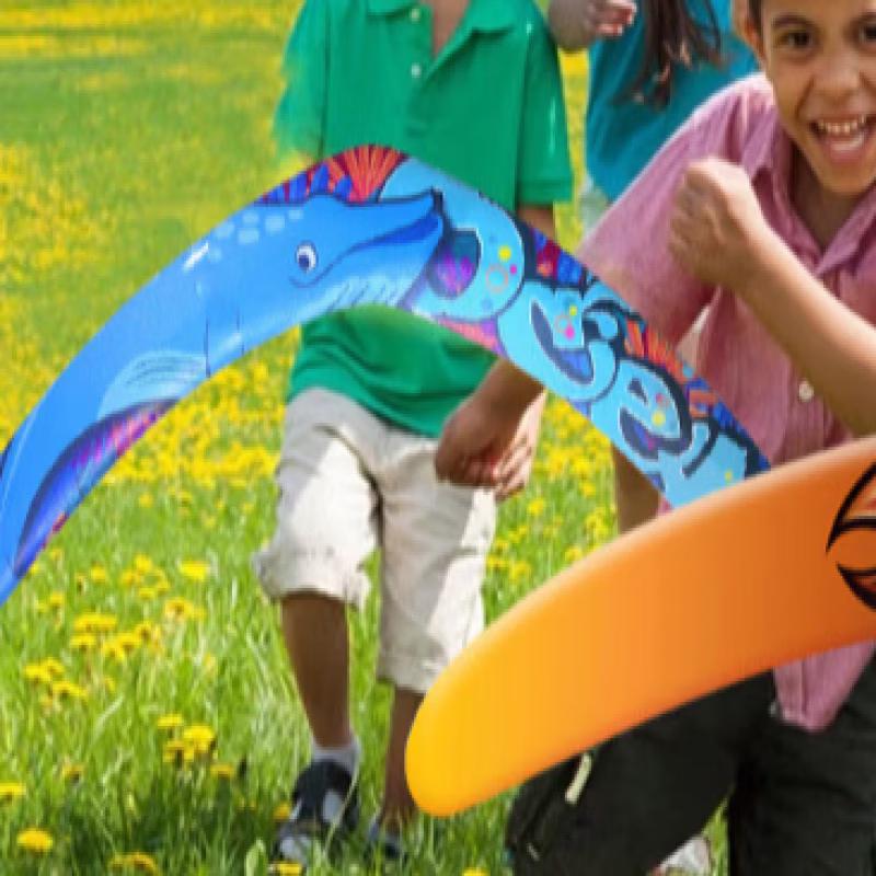 Soft Foam Boomerang Toy