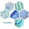 A84E-200 Packs Microscope Slides, 100 Plants & 100 Animal Tissues Includes Labels And Case For Biological Science Education