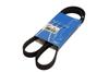 SKF MULTI-RIBBED BELT 5PK1199
