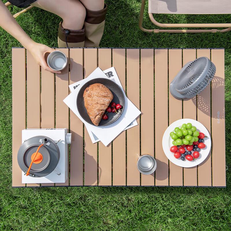 Portable Outdoor Roll-Up Folding Table