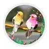 1 Piece Of Realistic Feathered Bird, Colorful Foam Bird, For Garden And Landscape Decoration, Craftwork.