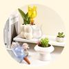 Clear Plant Automatic Watering System Balls Tulip Shape Self Watering Globes Plant Waterer