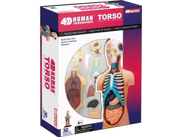 

4D 3D Puzzle Human Torso Anatomy Model 4D Human 626003 Torso Anatomy Model Fame Master 4D master Educational Toy STEM