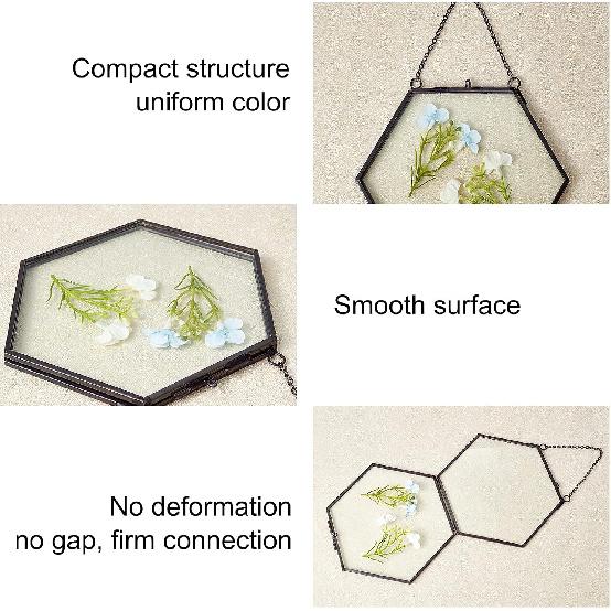 FINGERINSPIRE Hanging Glass Frame Brass Hexagon Wall Frames (6x6 Inches) for Display Pressed Plant Specimen Dried Flowers Black DIY Vintage Artwork