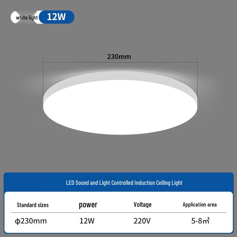 Linpan Motion Sensor Ceiling Light
