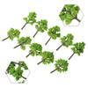 Scene Model Trees Decoration Diorama Display Green Plastic Props Railroad Resin 10pcs Scale Scenery Simulation DIY
