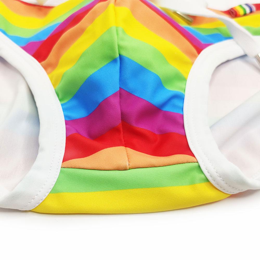Men Swim Briefs Trunks Pride Day Strips Tight Fit Sexy Swimwear Beach Wear Tanning Surfing GYM