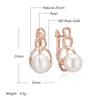 Unique Geometric Pearl English Earrings For Women Luxury  Rose Gold Color With Natural Zircon Bridal Wedding Jewelry