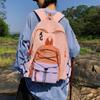 Schoolbag High-value Backpack Men's and Women's Outdoor Mountain Color Matching Hiking Backpack Junior High School College Students Commuting 
