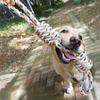 Bite Resistant Puppy Rope Knot Toy Wear Resistant Dog Chew Toy Pet Molar Toy  Teeth Cleaning