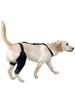 Joelheira Respirável para Cães Suporte para Recuperação do LCA Melhor Recuperação da Perna Joelheiras para Animais de Estimação Pós-Lesão Cirurgia Acessórios para Cães
