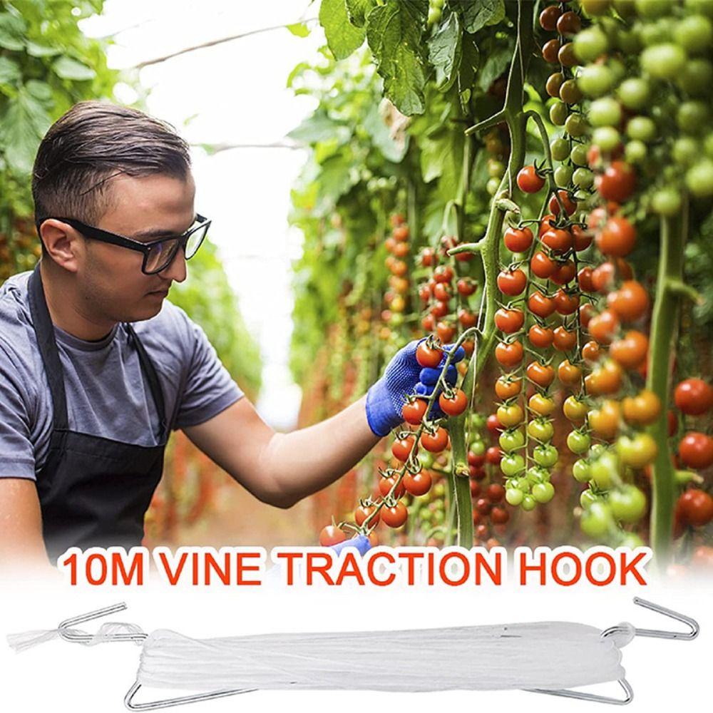 2Pcs Reusable Tomato Support Hook Outdoor Gardening Accessories Gardening Supplies Vine Hanging Hook Garden Tools Nylon Rape