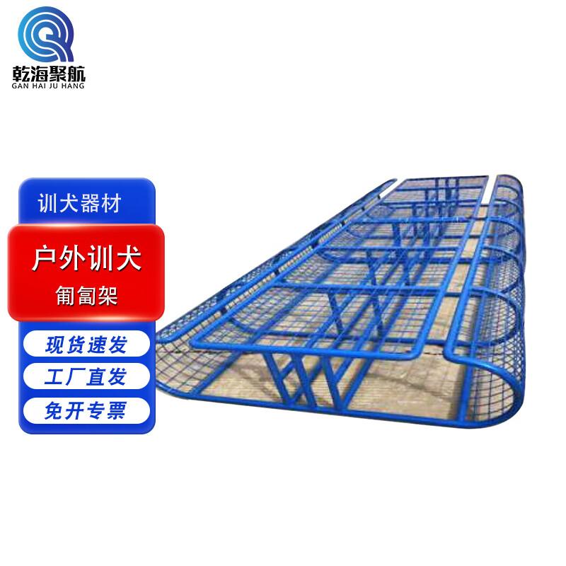 Professional Outdoor Dog Training Equipment