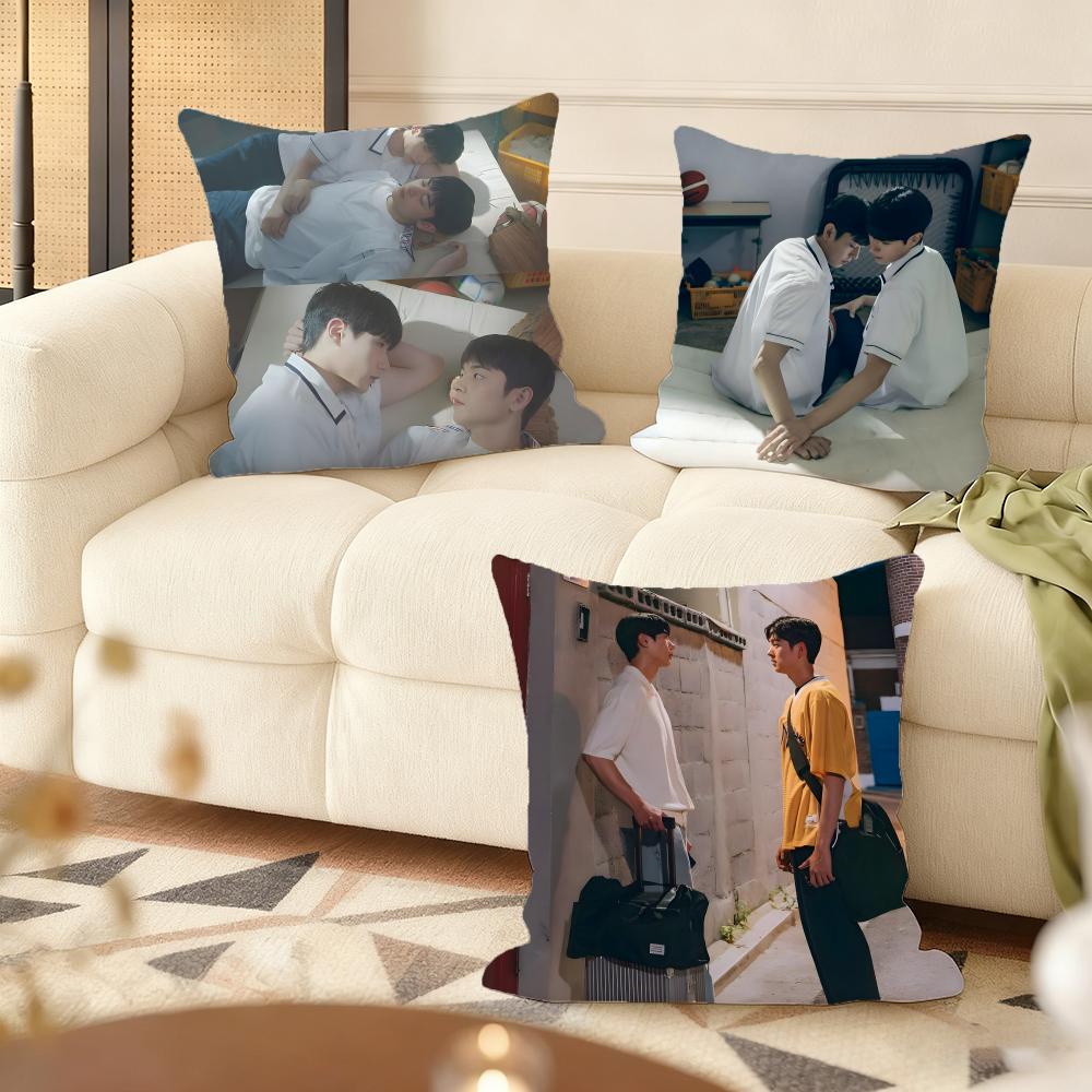 Cushion Cover Silky Short Plush Home Sofa Cushion Cover - Invisible Zipper Home Decoration A Breeze Of Love