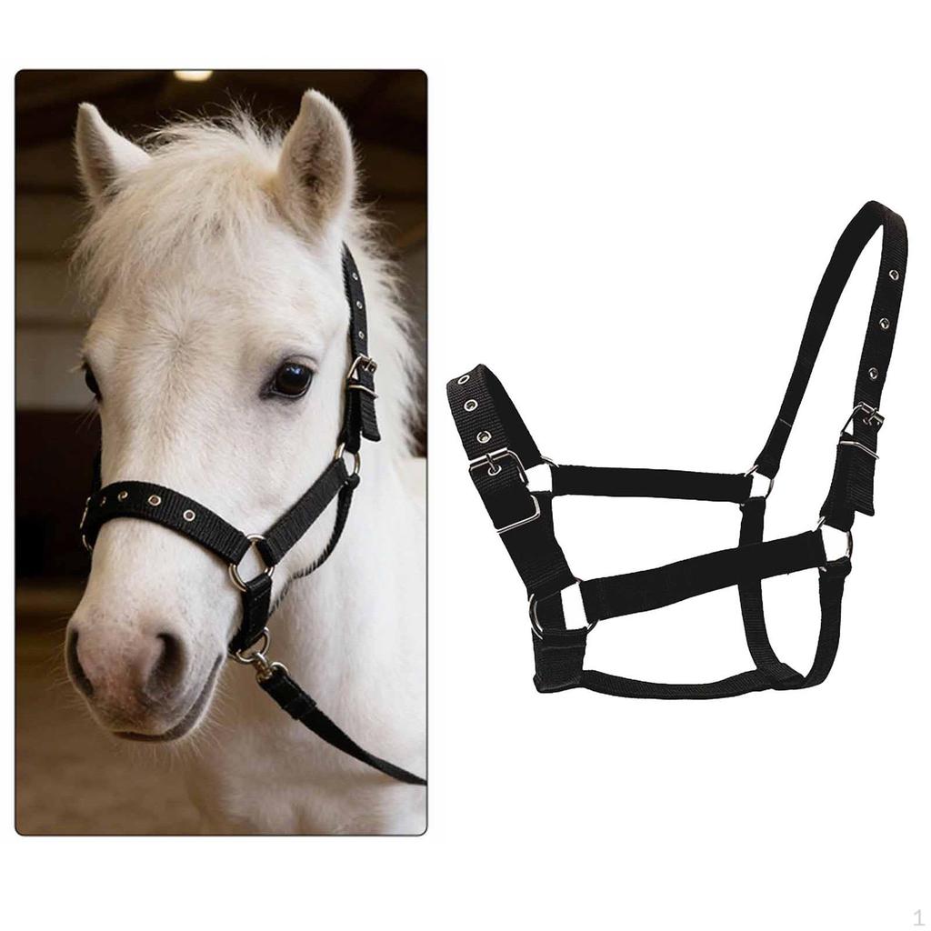 Verstellbares Nylonhalfter für Pferde, Bequemes Zubehör, Ausrüstung für Training und Turniere,