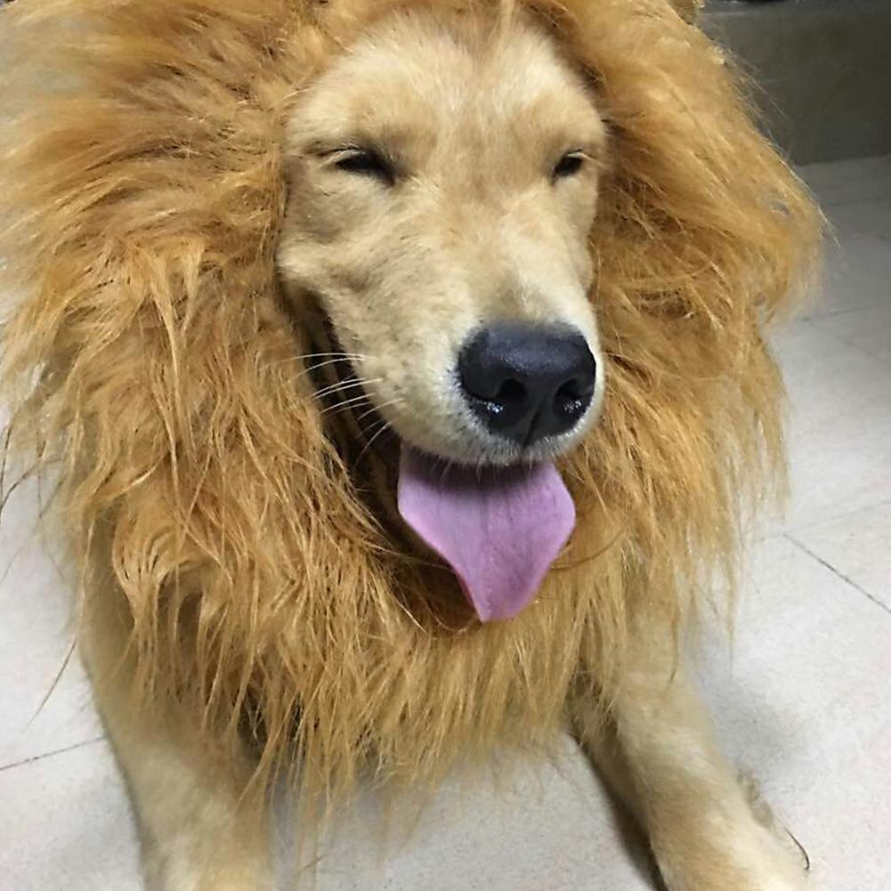 Mane Pet Wig for Dogs, Pet Wig for Cosplay, Party or Travel