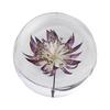 Sfera di Cristallo Floreale Fatta a Mano Tocco di Natura in Casa Regalo Resina Decorativa Sfera dei Sogni Ortensia blu 8cm