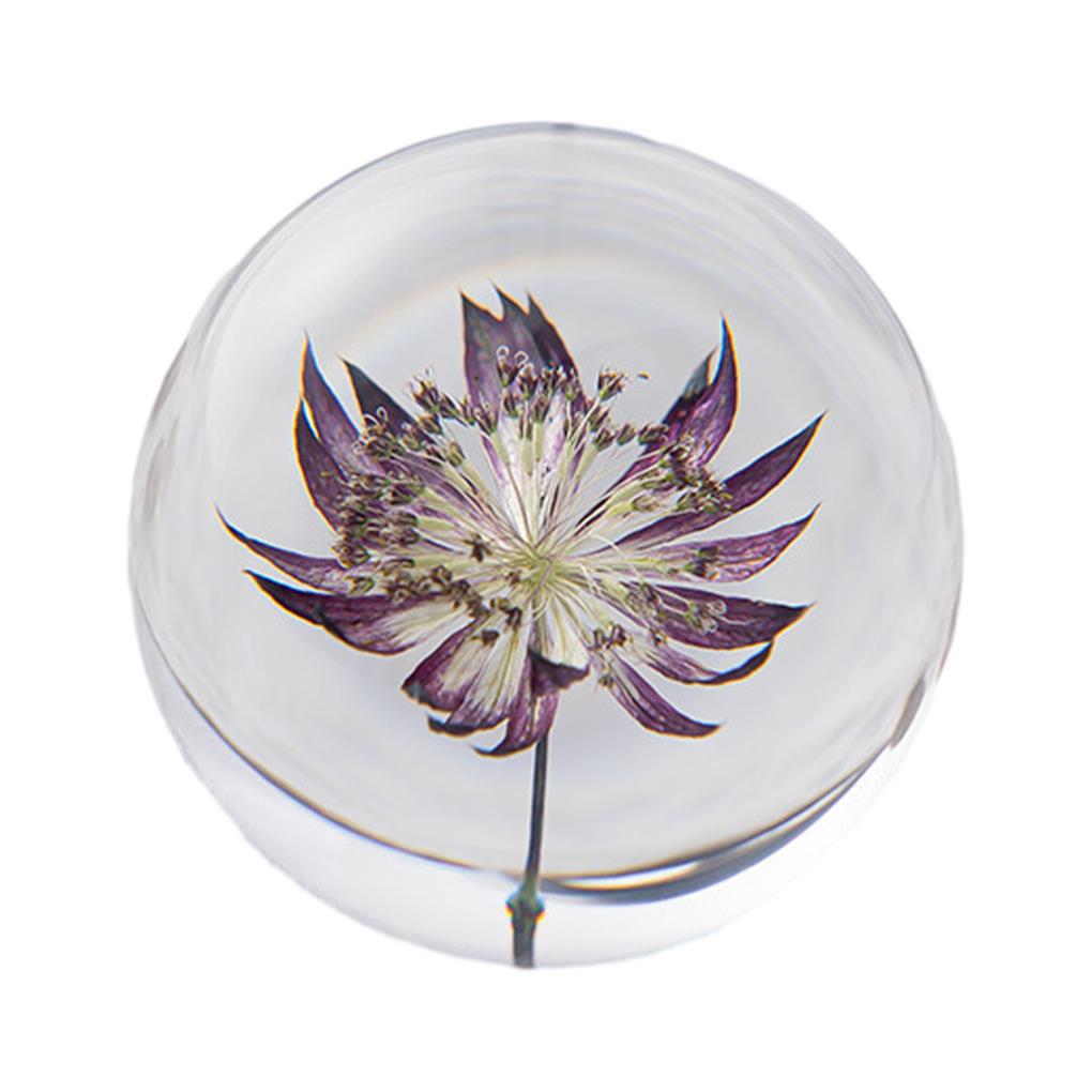 Sfera di Cristallo Floreale Fatta a Mano Tocco di Natura in Casa Regalo Resina Decorativa Sfera dei Sogni Ortensia blu 8cm