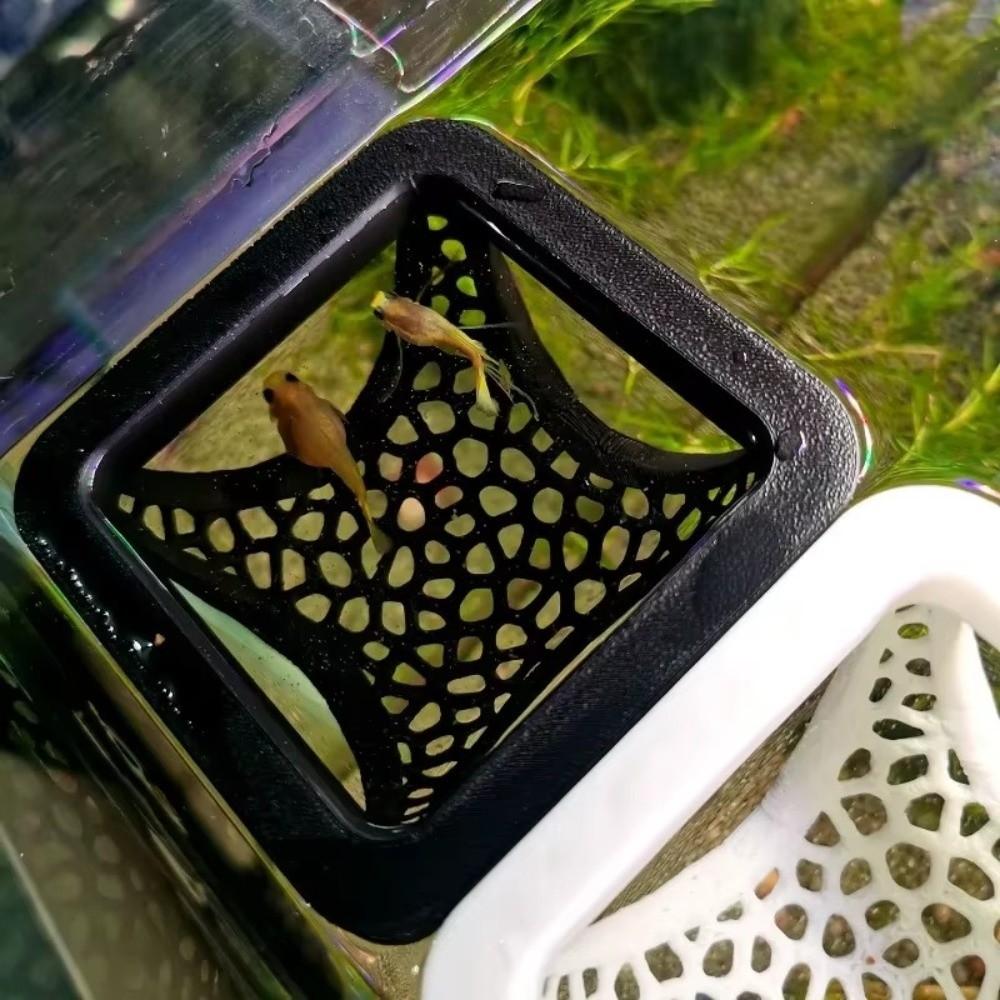 Ornamental Habitat Fish Refuge Caves Aquarium Tunnel Shrimp Hiding Places  Fish Tank Decoration