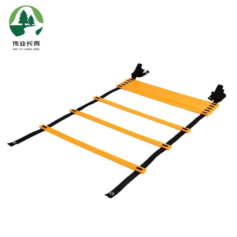 Agility Training Ladder