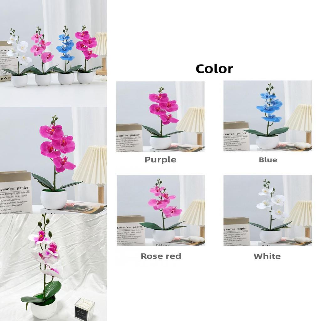 Durable Plastic Butterfly Orchid Fake Plant With Textured Finish For Celebrations And Photo Shoots