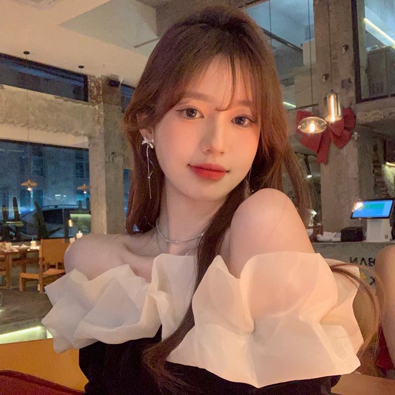 Retro Tassel Long Dangle Earrings - 925 Silver Needle, Light Luxury Fashion Jewelry for Women.