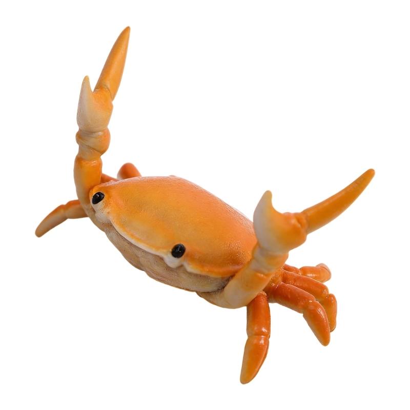 

Playfulness Crabs Holding Barbell Bookend Lovely Desk Accessory For Students And Professional жёлтый