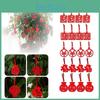 Wunderschön gefertigtes 8-teiliges Chinesisches Neujahr Cny Outdoor Rote Deko Festival Bonsai Geldbaum Anhänger