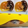 Splicing Cat Toy Felt Pom Nest Deformable Kitten Tunnel Collapsible Tube House Tunnel Interactive Pet Pusscat Security Sense