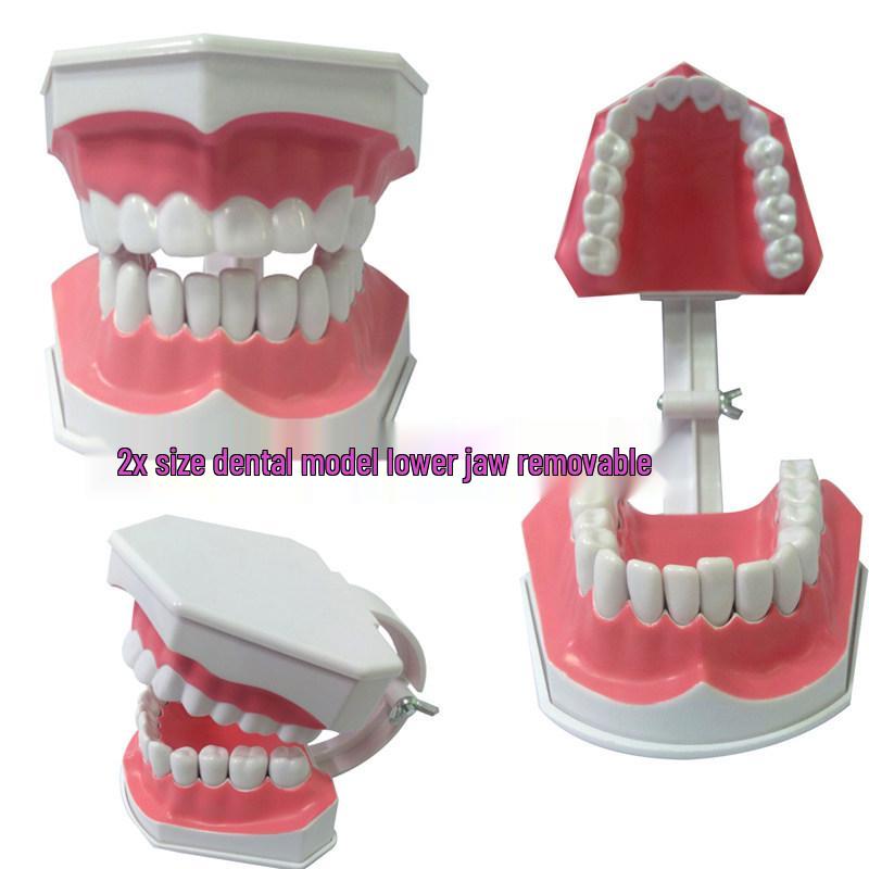 Dental Implant Teaching Model & Toothbrush Preparation Resin Mold