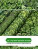 Artificial Leaf Hedge Privacy Screen for Balcony & Home Decor