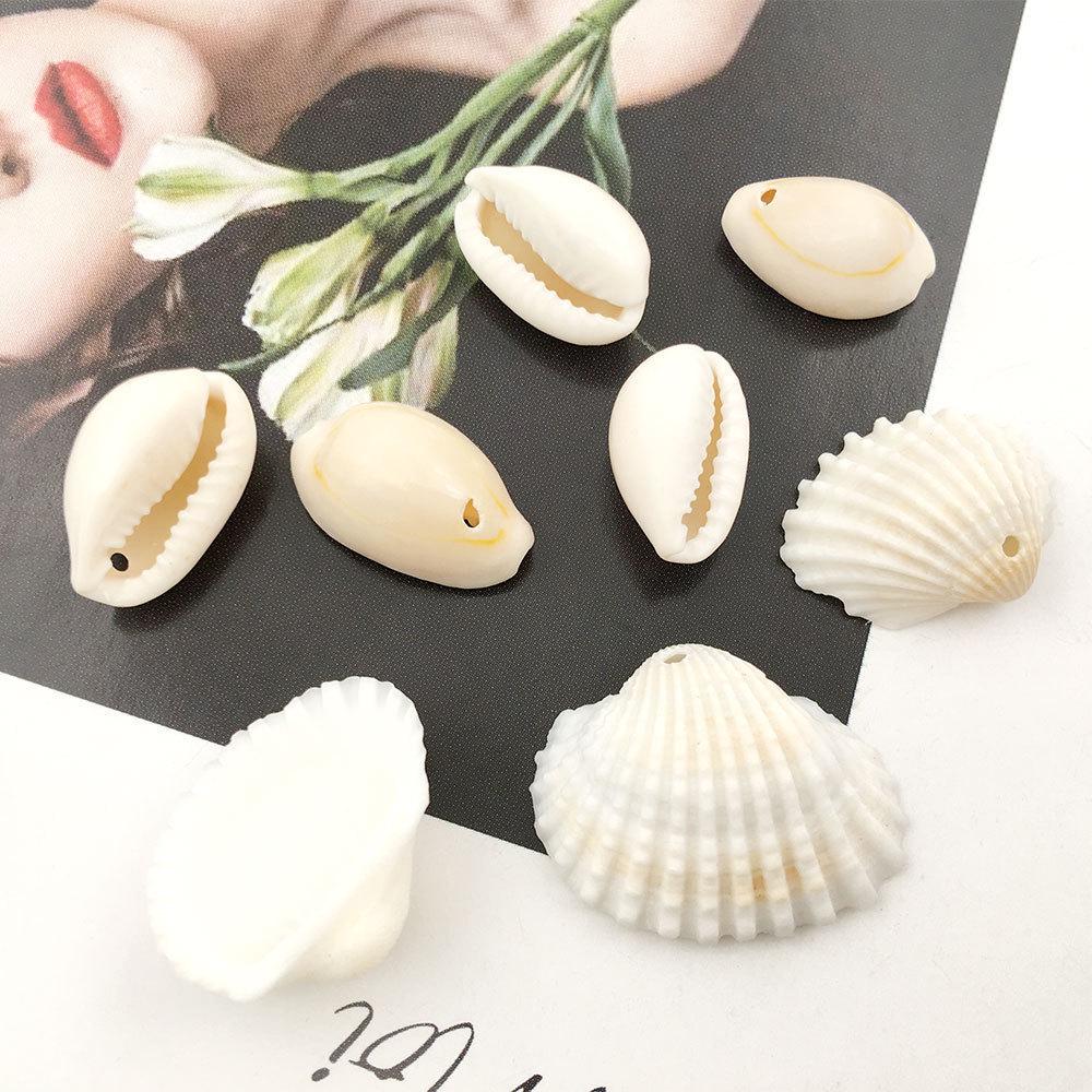 Natural Shell Conch Scallop Perforated Tooth Shell Jewelry & DIY Accessory Materials