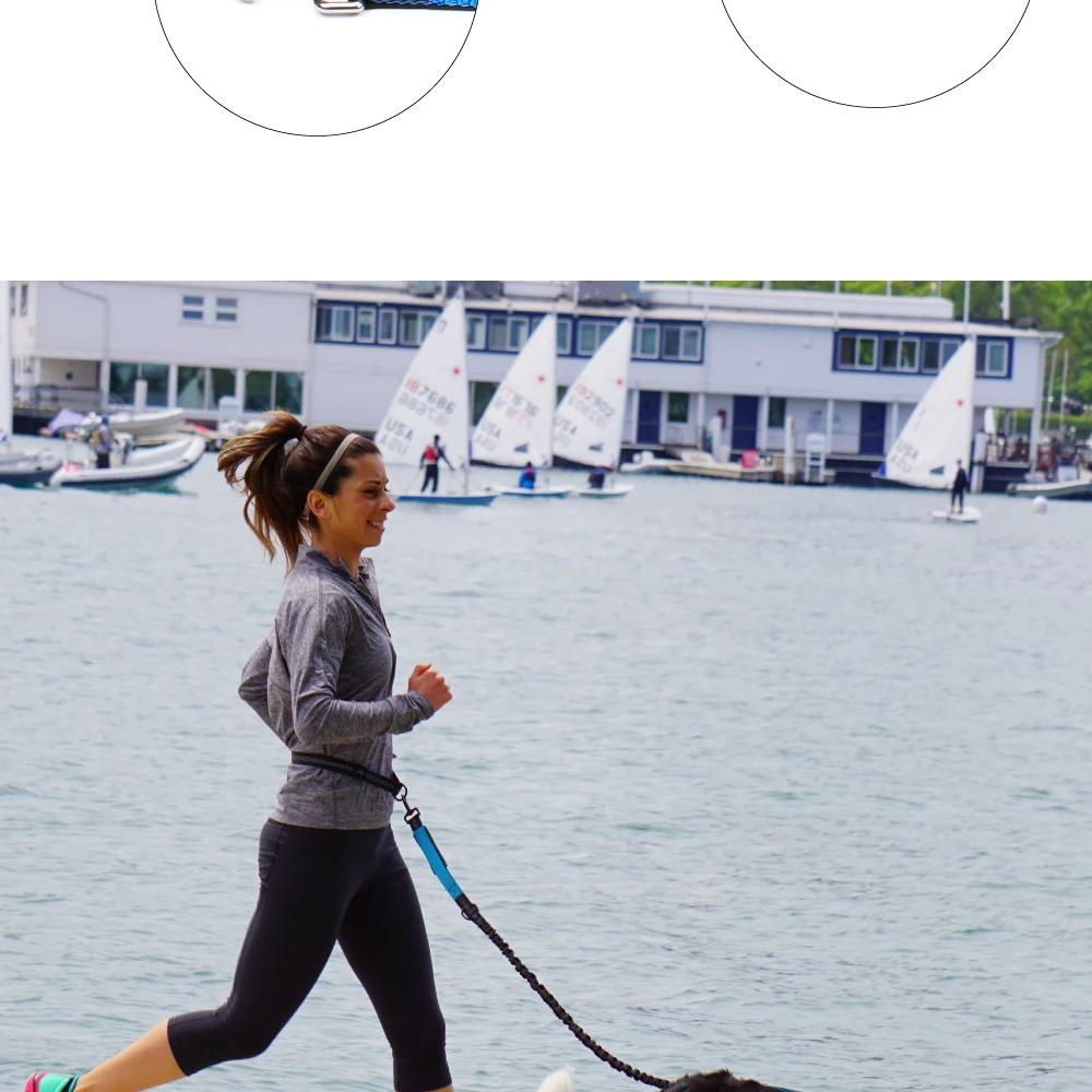 Hand Free Dog Leash for Pet Walking Running Jogging Adjustable Dog Leash Waist Belt Chest Strap Traction Rope Dog Accessories