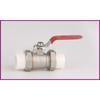 DN20 Brass Ball Valve with Full Bore and PPR Connection for Plumbing Systems Requiring High Flow and Durability