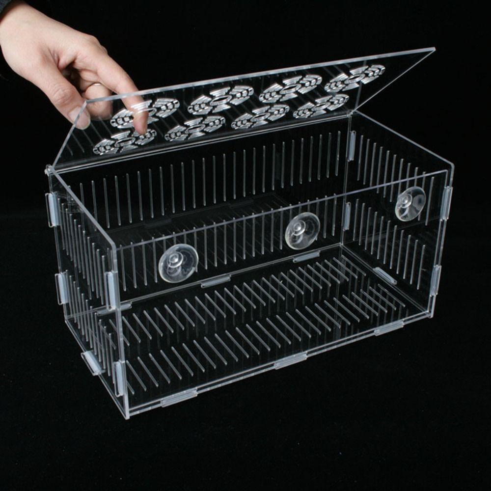 For Baby Fishes Aquarium Accessories Incubator Hatchery Fish Breeding Box Fish Separation Box