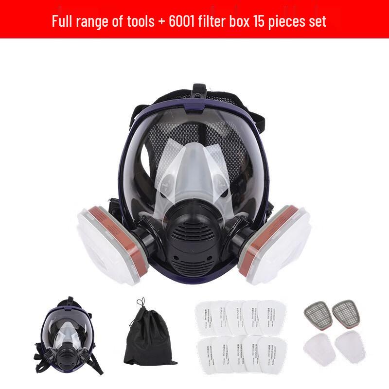 WEZHO Full Face Protective Mask 15-Piece Set