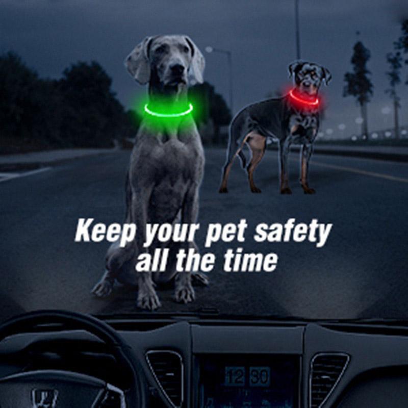 Led obojek pro psy Luminous usb Obojek pro kočky a psy Nastavitelný LED obojek s prevencí proti ztrátě LED světla pro psy Doplňky pro domácí mazlíčky