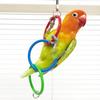 3 Pieces Colorful Rings Bird Stand Toy Swing With Chain and Rings Encouraging Play Activity For Pet Birds