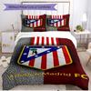 3pcs Duvet Cover Set (1*Duvet Cover + 2*Pillowcase, Without Core), football club Print Soft All‑Season Bedding Set, Home Bedroom Decor Gift