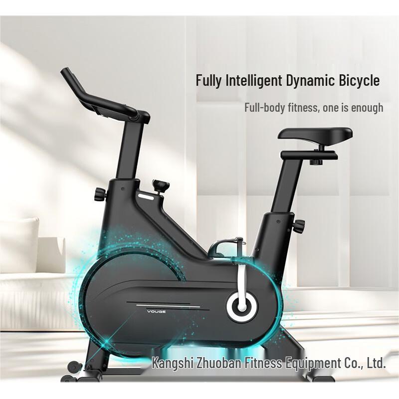 Bojue Indoor Spinning Exercise Bike