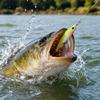Para Pesca, Artificial Rígido Realista com Pintura para e