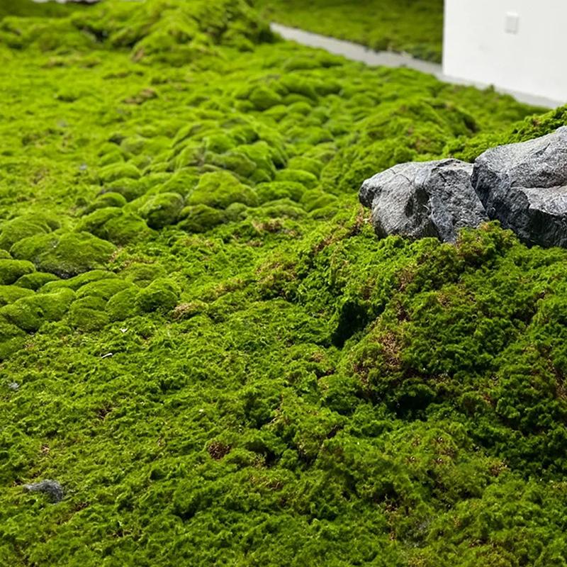 Artificial Moss Landscape Bionic Lawn False Moss Micro Landscape Layout Lawn Bonsai Pottery Paving Landscape Outdoor Indoor