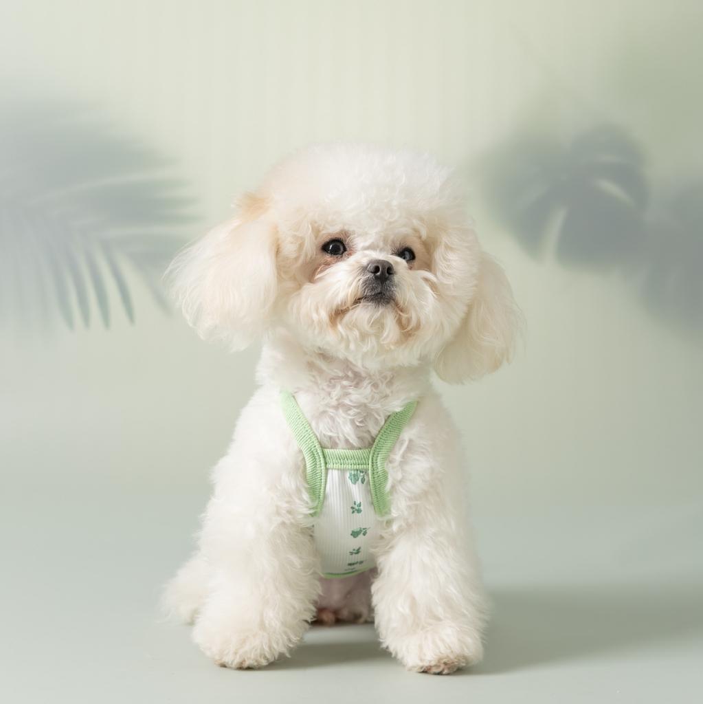 Spring and Summer Dog Clothes Fresh Small Floral Suspenders Ins Wind Simple Cat Clothes Small Dog Pet Clothes